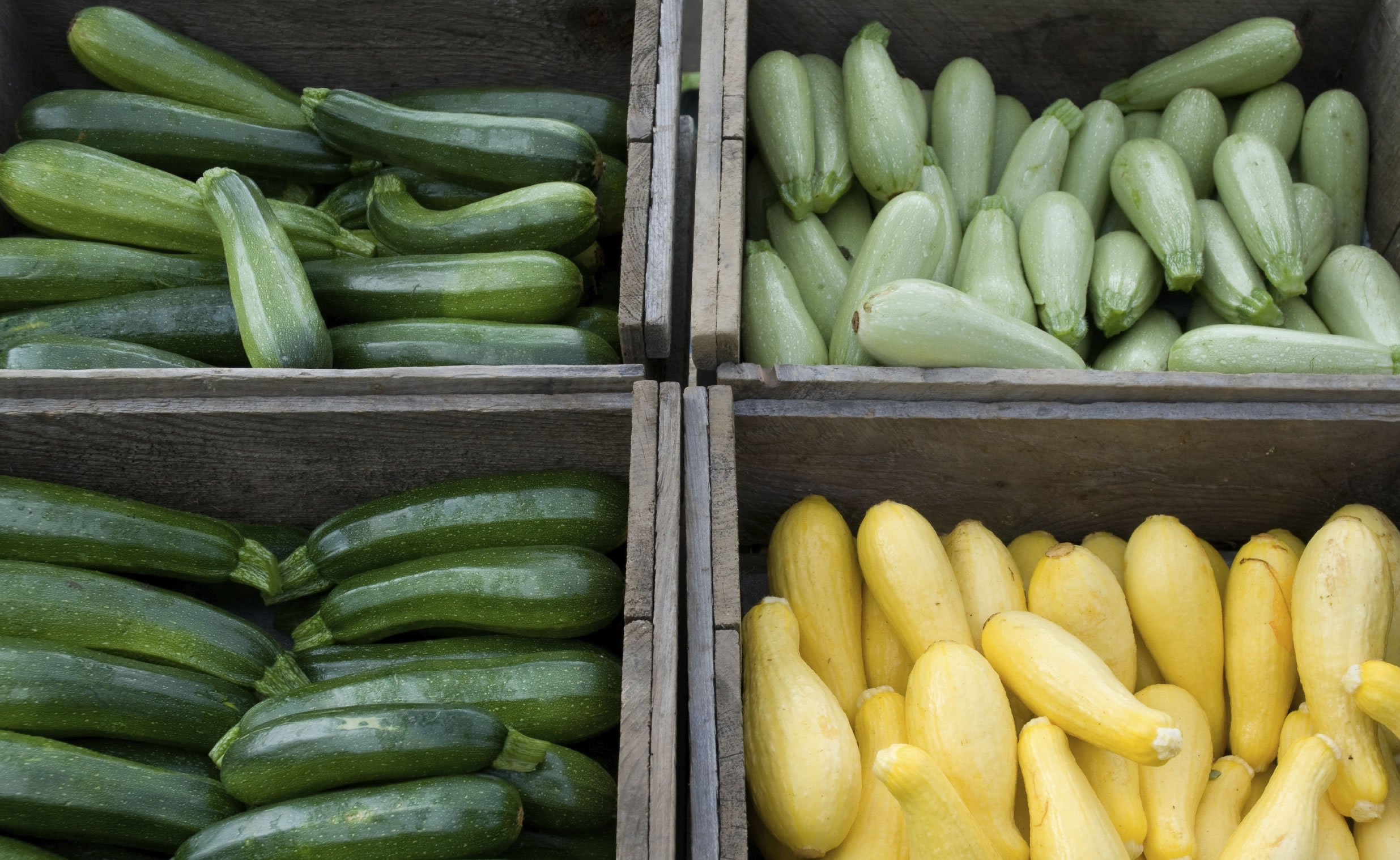 Zucchini_variety Pritikin Recipe