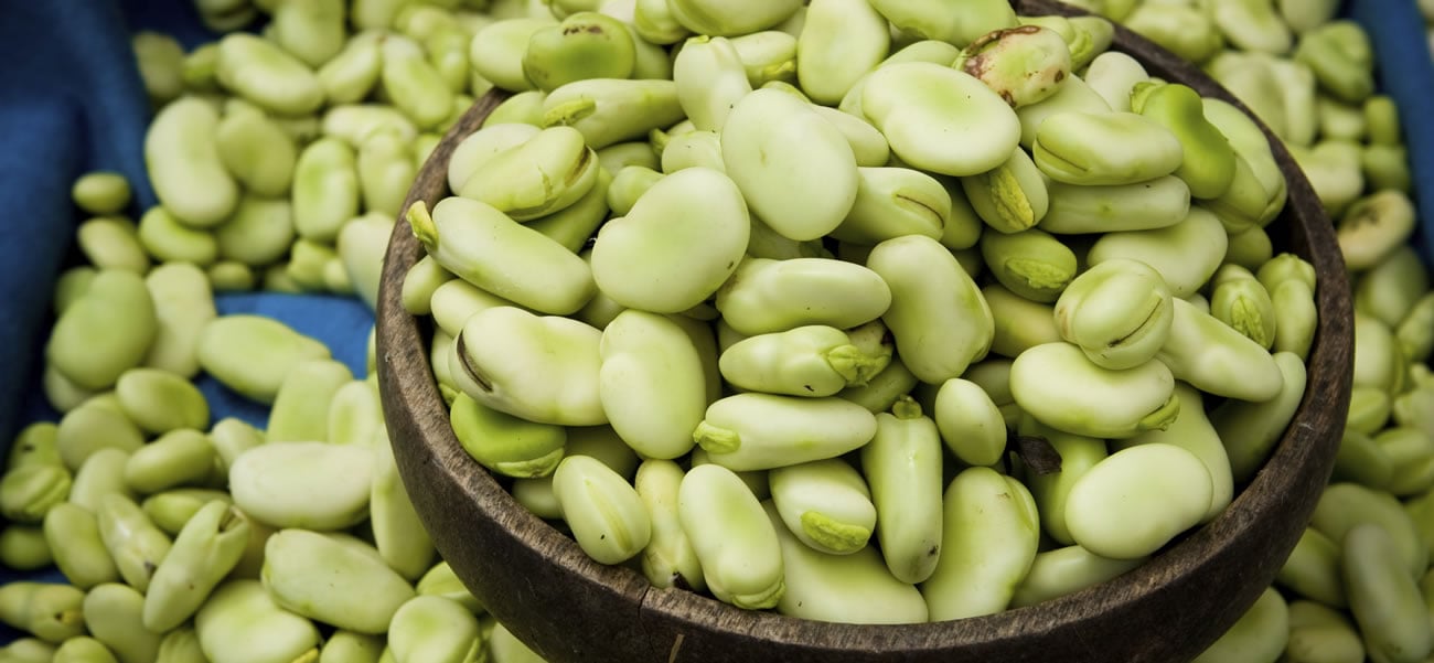 Food of Month: Fava Beans