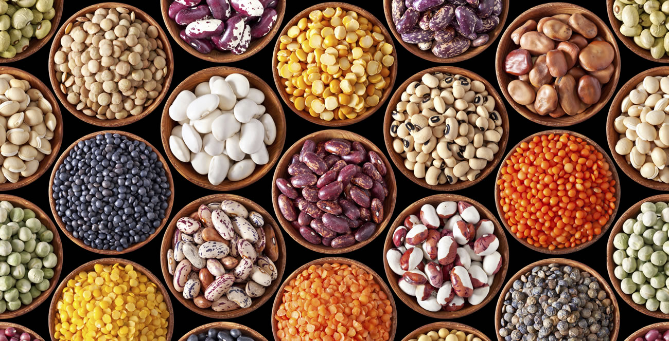 Reduce High Cholesterol By Eating Beans