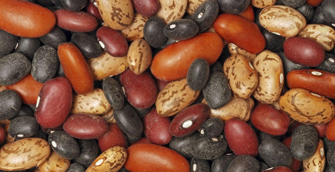 Eat Beans and Lower Your LDL Cholesterol without drugs.