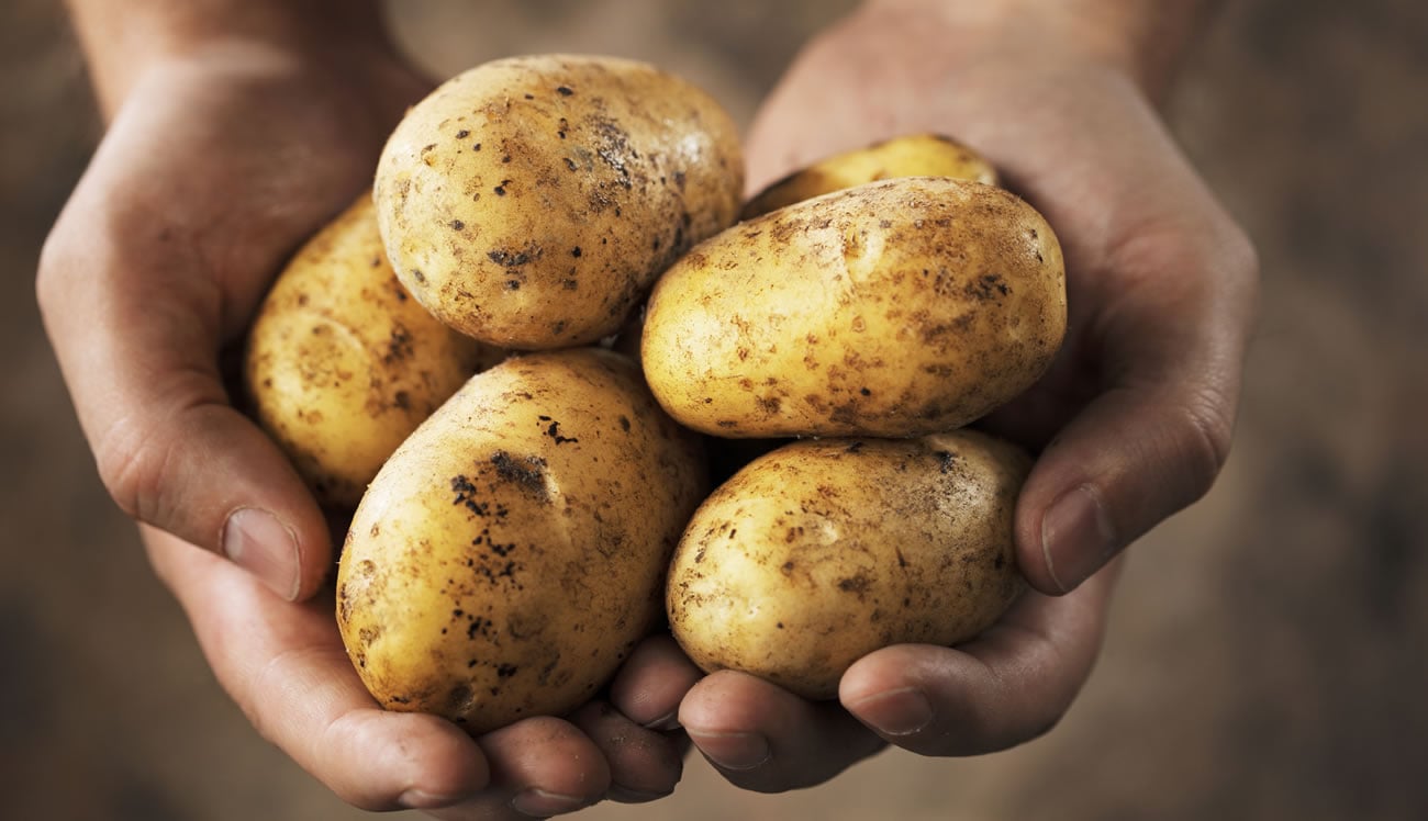 Are potatoes good for you?