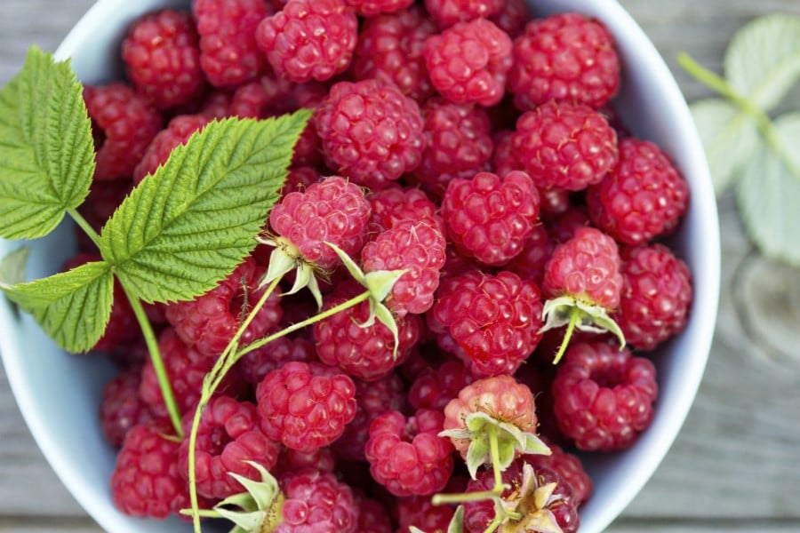 eating berries is a great way to get an antioxident hit