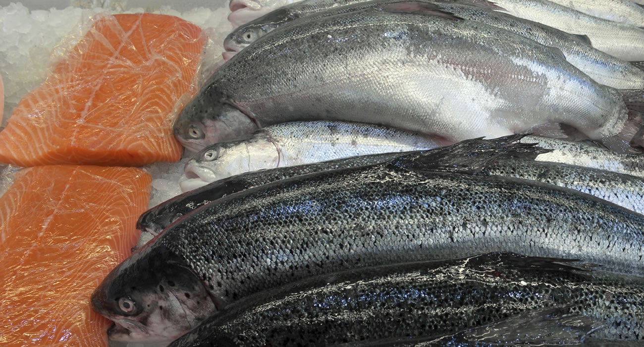 Fish Salmon Pritikin Recipes
