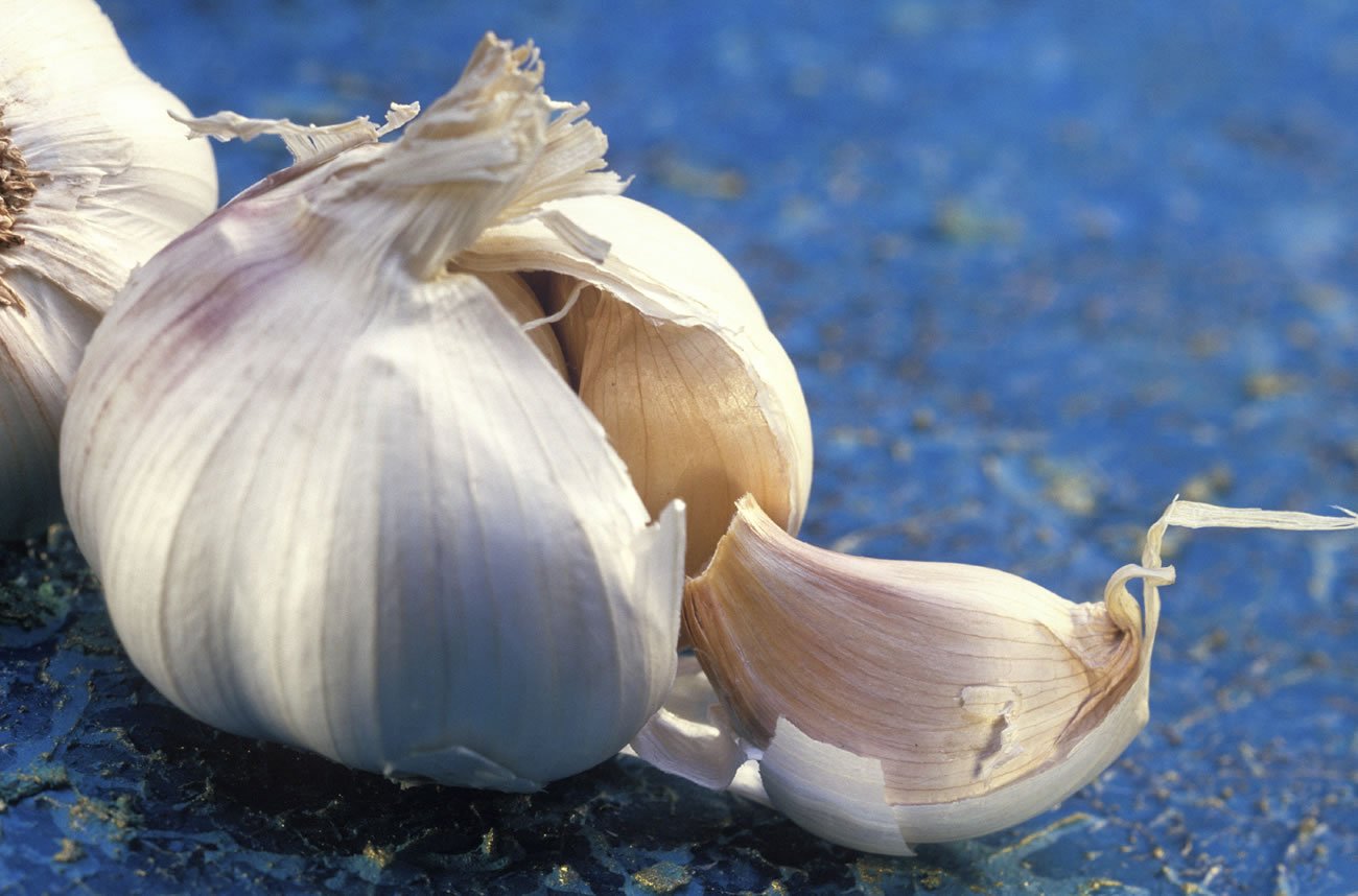 Garlic Pritikin Recipes