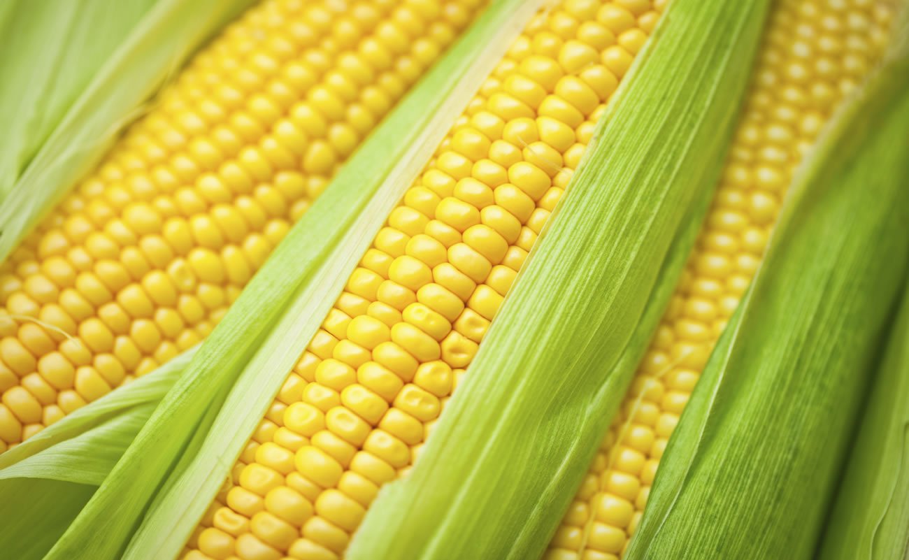 Roasted Corn Dip Recipe