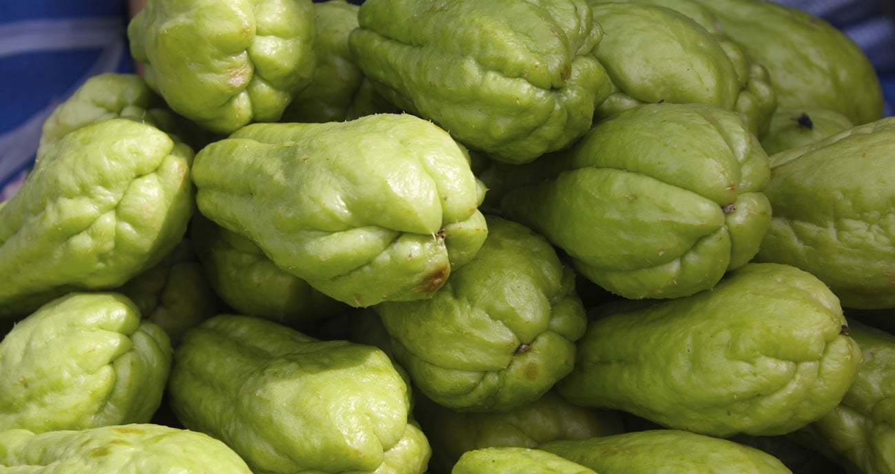 Healthy Chayote Squash Recipe