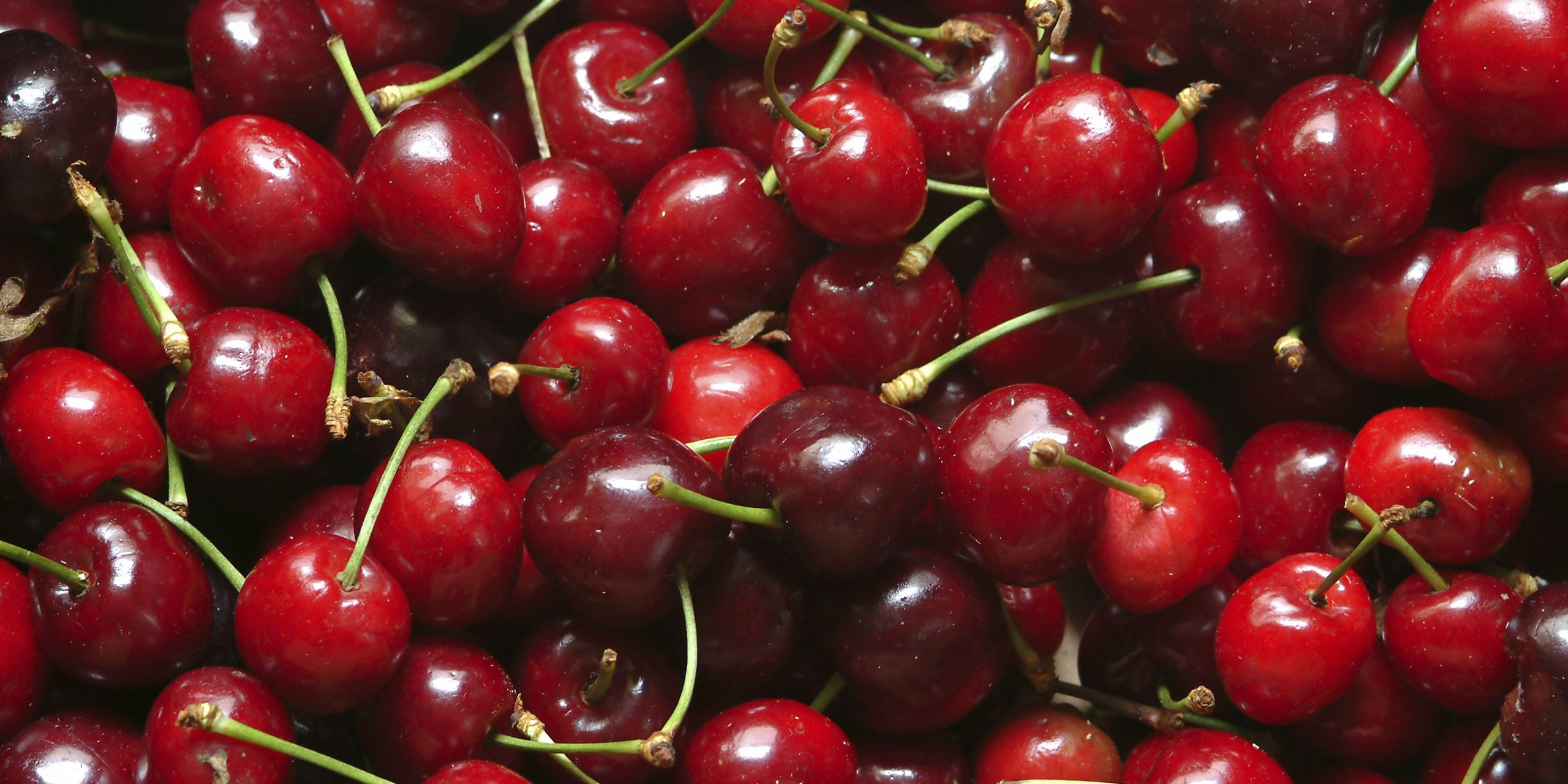 Cherry Pritikin Recipe
