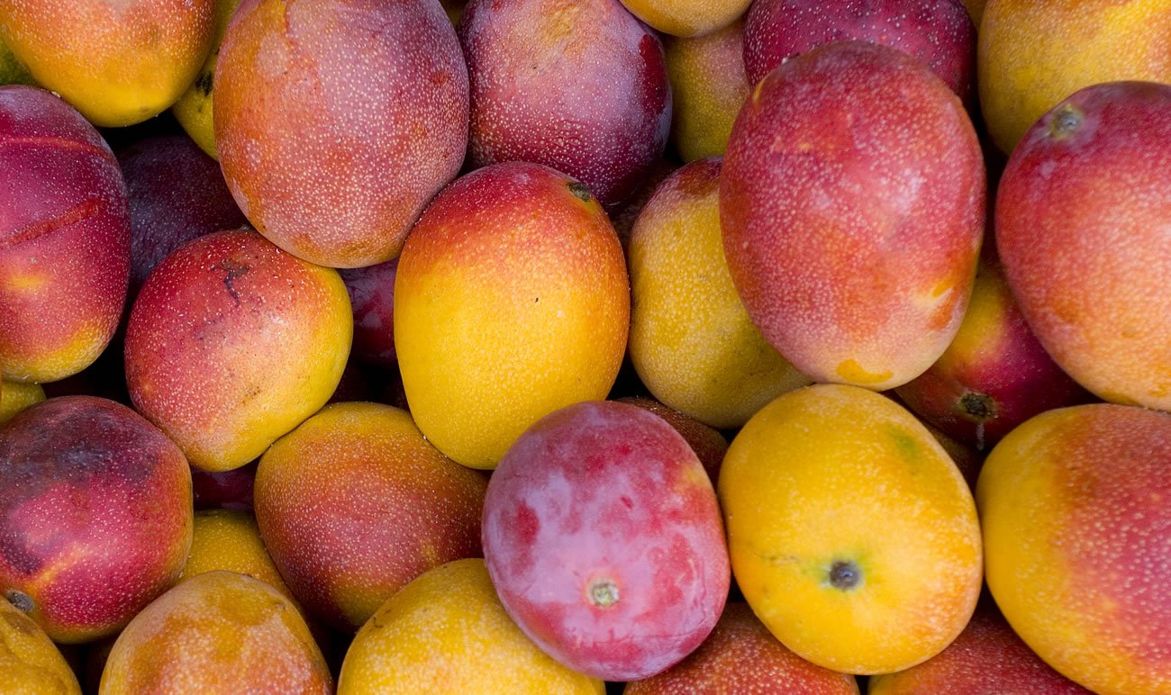 Best Ever Mango Recipes from Miami