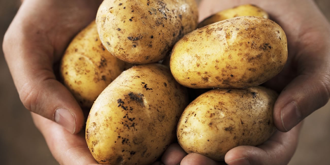 Healthy Potato Recipe