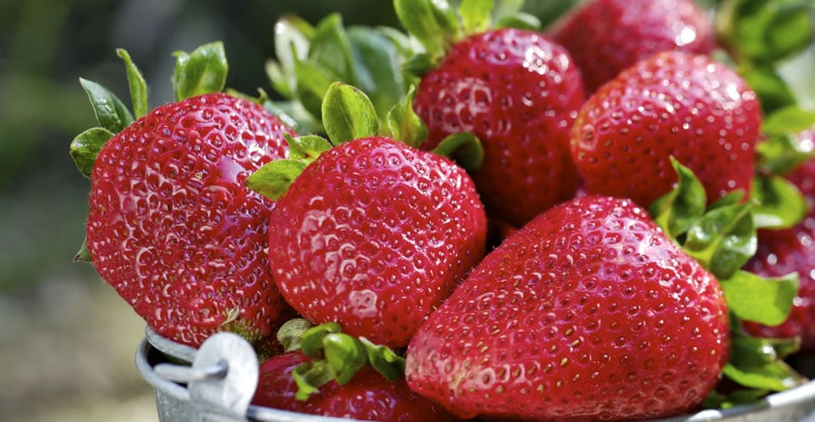 Strawberries Fruit of the Month