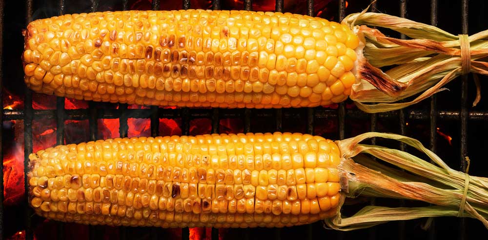 Grilled Corn Cob Pritikin Recipe