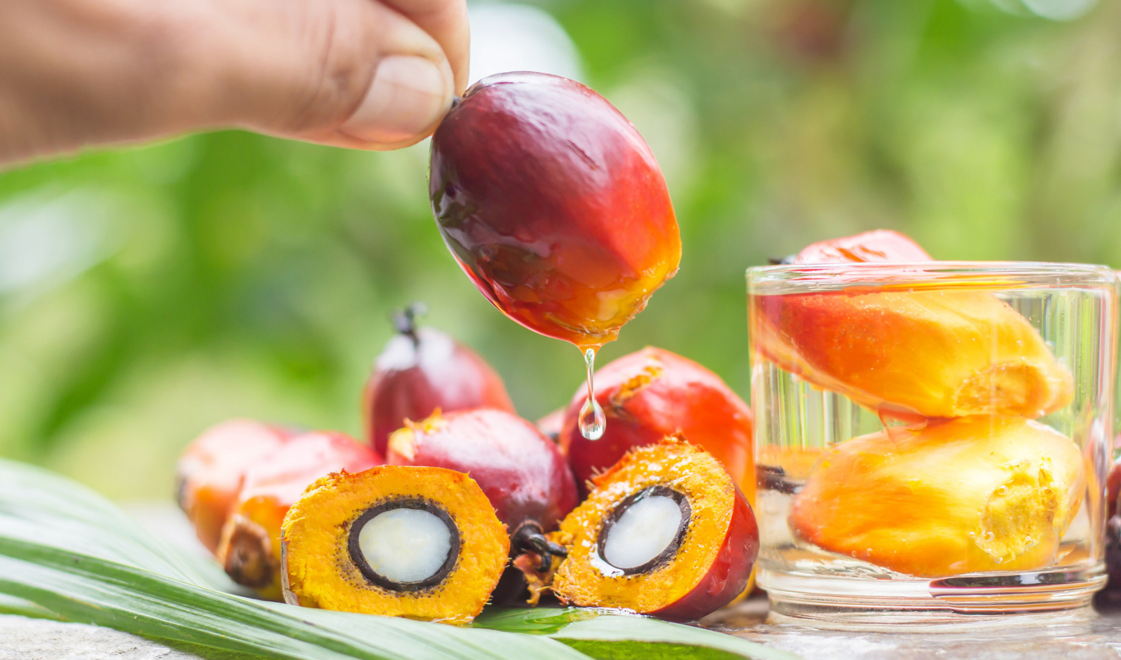 Palm oil: What is palm oil and which foods and products contain it