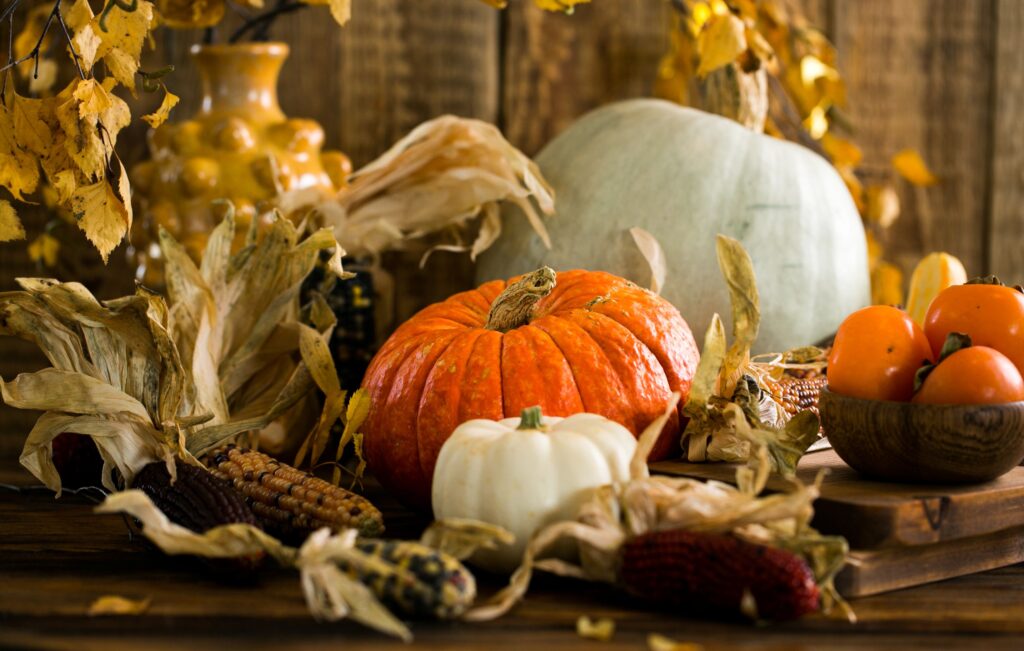 Rustic Thanksgiving harvest still life on a wooden table: an orange heirloom pumpkin, small white pumpkin, pale blue-green heirloom squash, dried multicolored Indian corn, golden birch leaves, and a wooden bowl of ripe persimmons against weathered barn wood.