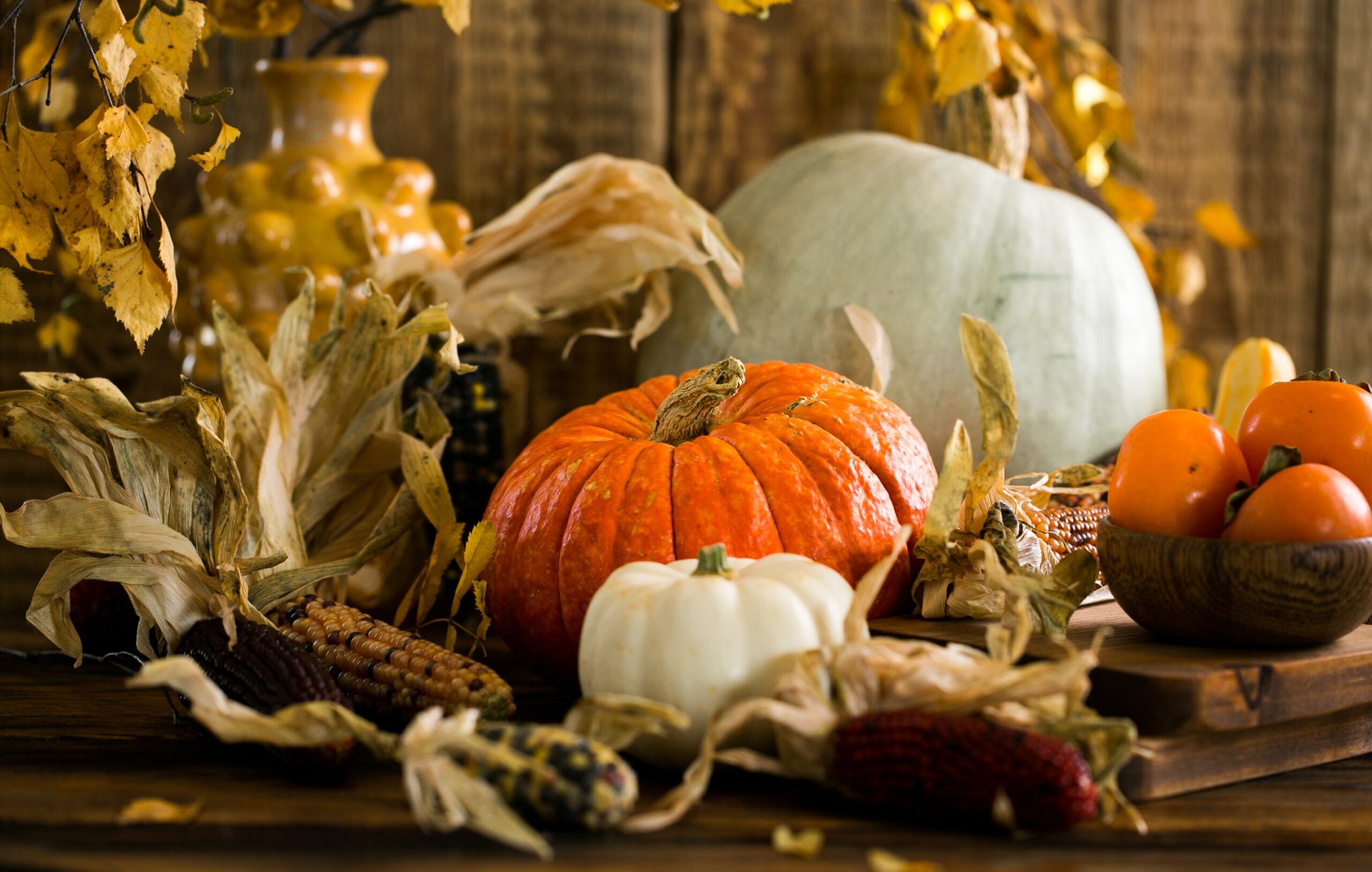 Rustic Thanksgiving harvest still life on a wooden table: an orange heirloom pumpkin, small white pumpkin, pale blue-green heirloom squash, dried multicolored Indian corn, golden birch leaves, and a wooden bowl of ripe persimmons against weathered barn wood.