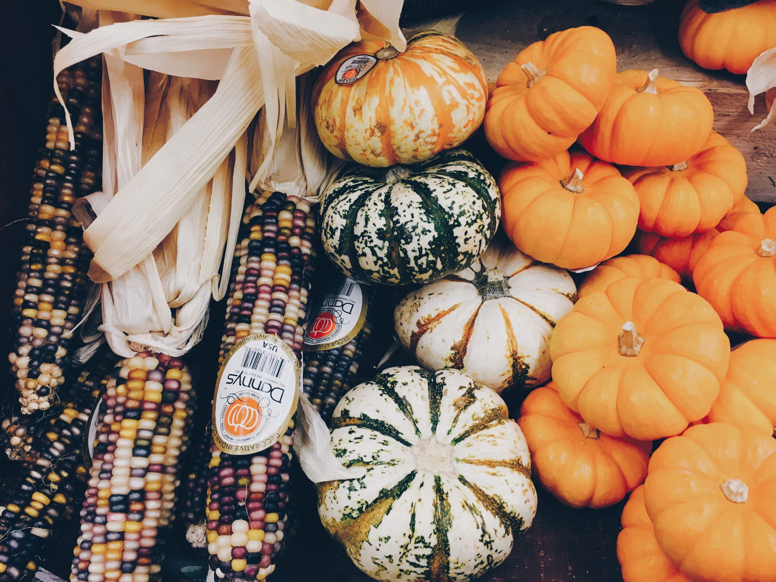 Farm stand display of fall harvest produce viewed from above: strands of dried multicolored Indian corn in pale husks, striped green-and-white decorative gourds with price stickers, and a pile of small bright orange sugar pumpkins on weathered wood.