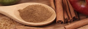 apples cinnamon pritikin recipe