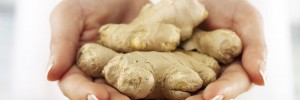 ginger pritikin recipe