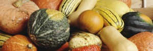 Pumpkins Pritikin Recipe