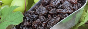 Raisins Dessert Pritikin Recipes