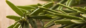 Rosemary Pritikin Recipe