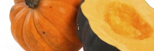 Squash Pritikin Recipe