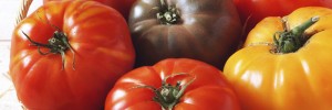 Tomatoes Pritikin Recipe