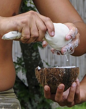 Even Virgin Coconut Oil Is Bad For You