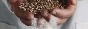 Whole grain flour may be a good carb, and white flour may be a bad carb, but for weight loss it's best to limit your intake.