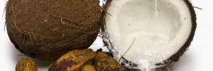 Coconut Oil is Bad For You