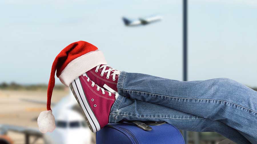 Healthy Holiday Travel