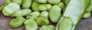Fava beans are as filling as nuts
