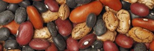 Eat Beans and Lower Your LDL Cholesterol without drugs.