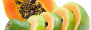 papaya Pritikin Recipe