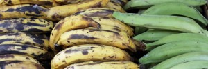 plantains Pritikin Recipe