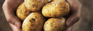 Are potatoes good for you?