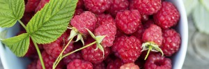 eating berries is a great way to get an antioxident hit