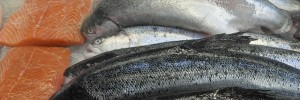 Fish Salmon Pritikin Recipes