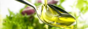 10 Secrets of Weight Loss