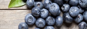 blueberries cheesecake pritikin recipe