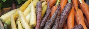 carrots pritikin recipe