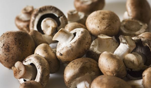 mushrooms pritikin recipe