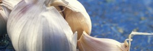 Garlic Pritikin Recipes