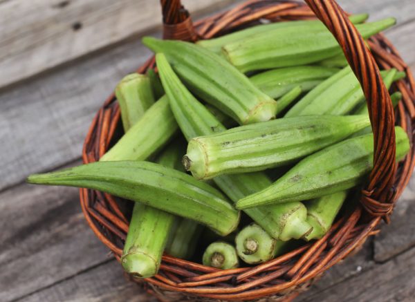 okra Pritikin Recipe