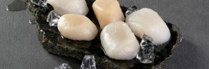 scallop pritikin recipe