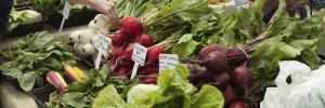 Enjoy Fresh, Organic, Farm to Table Foods at the Pritikin Health Resort