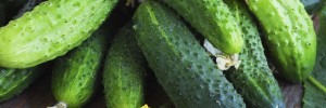 cucumber pritikin recipe