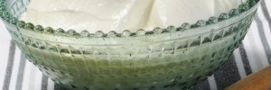 yogurt-sour cream pritikin recipe