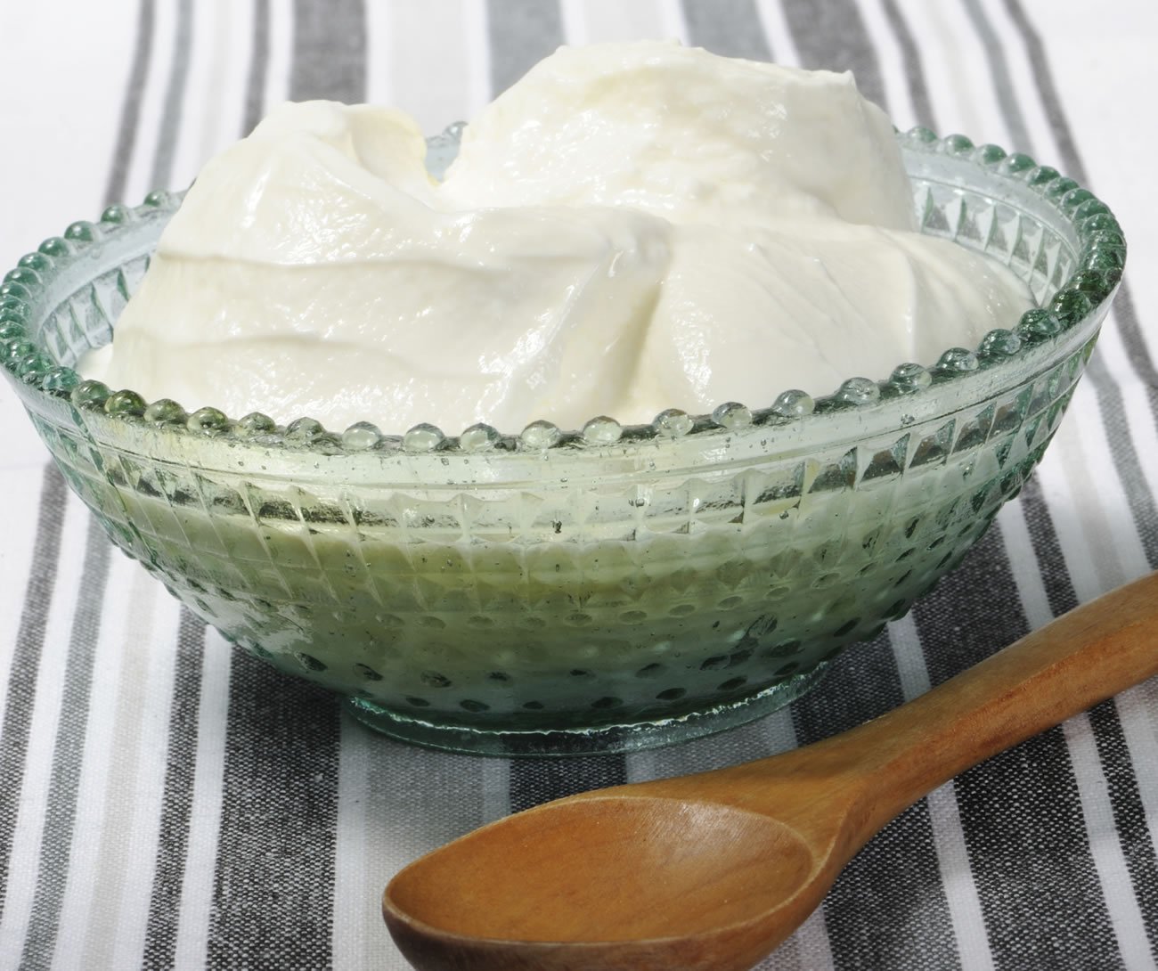 yogurt-sour cream pritikin recipe