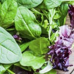 Tofu & Spinach Casserole Spinach Recipes for Weight Loss