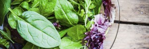 Spinach Recipes for Weight Loss